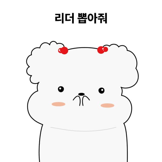 리더 뽑기